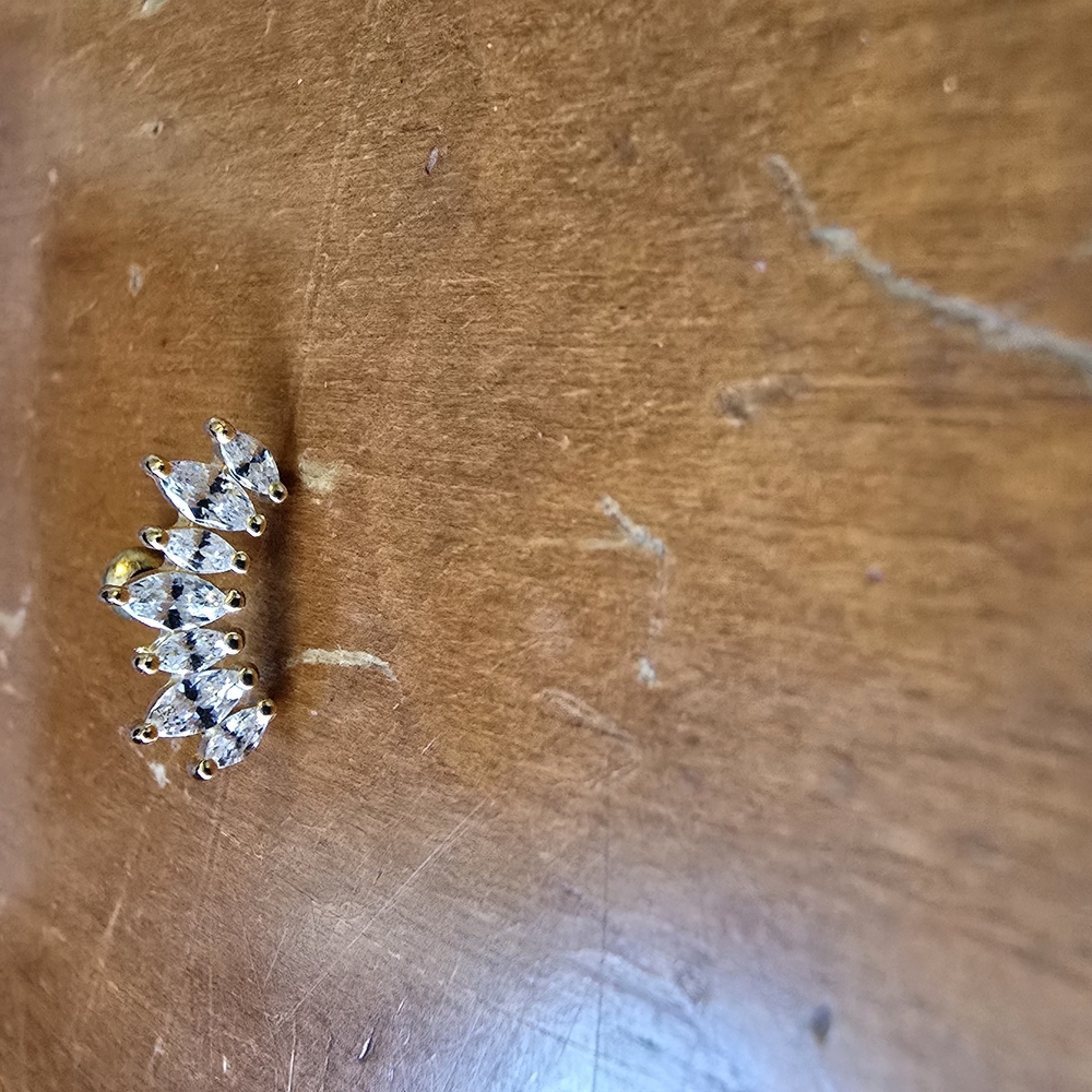 Elegant Gold Crown Helix Piercing Earring